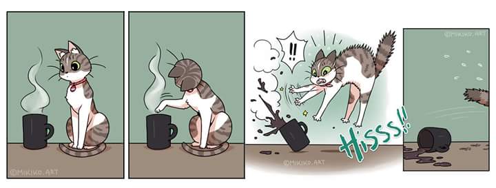 Funny kitten