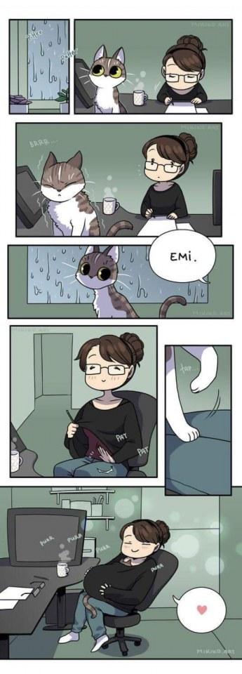 Funny kitten