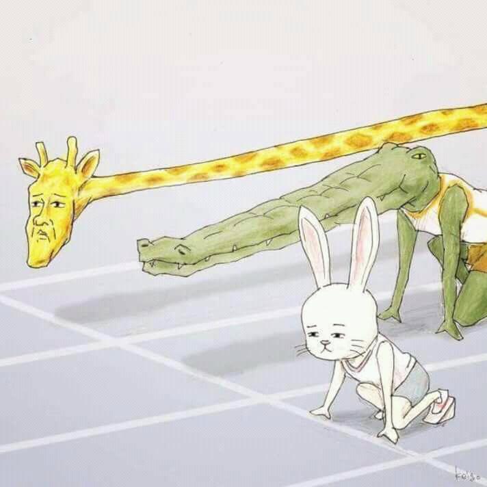ถ้าเกิดว่าคุณเป็นจระเข้