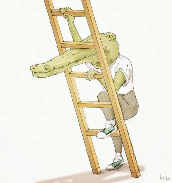 ถ้าเกิดว่าคุณเป็นจระเข้