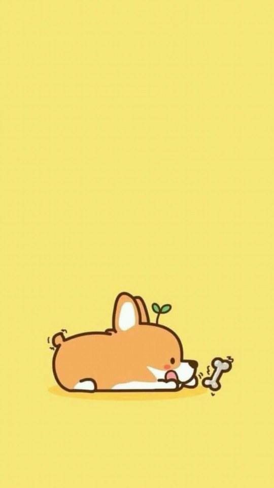 วอลเปเปอร์หมา น่ารักๆ