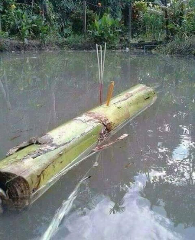 หนุ่มหล่อ ลอยกระทง2019