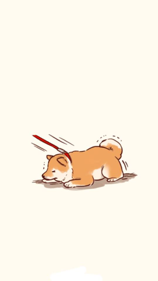 วอลเปเปอร์หมา น่ารักๆ 2