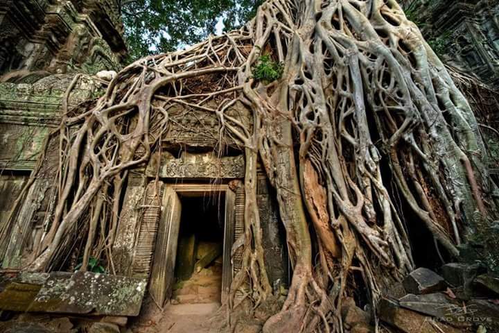 Nature win ธรรมชาติชนะทุกสิ่ง