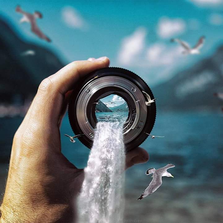 Wonderful photo