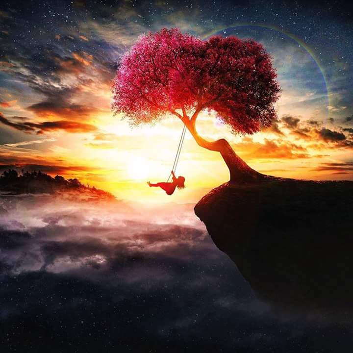 Wonderful photo