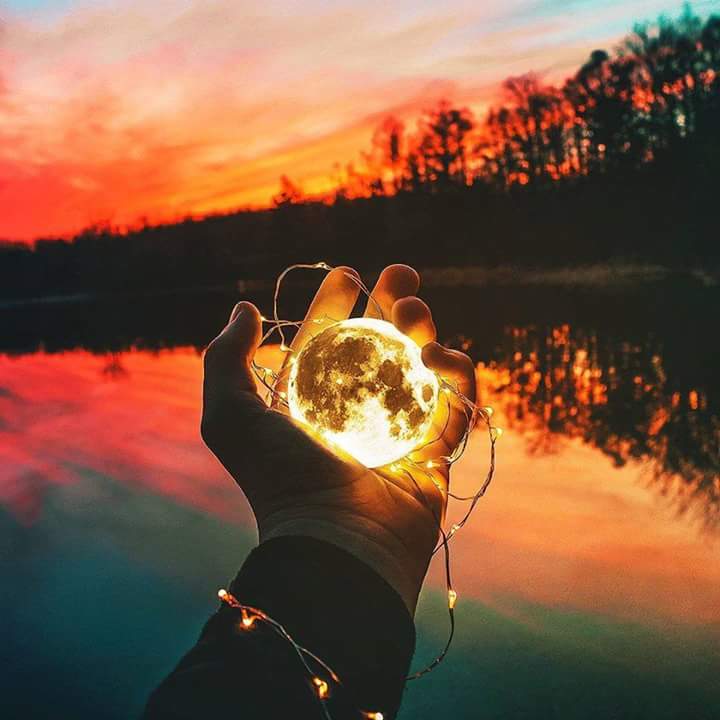 Wonderful photo