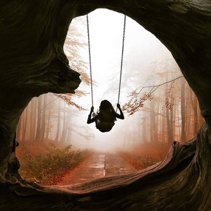 Wonderful photo