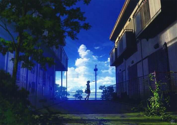 Wonderful photo II