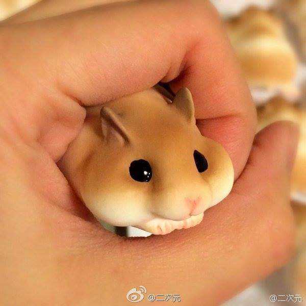 กินหนูลงหรา ?