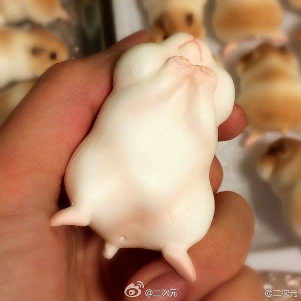 กินหนูลงหรา ?