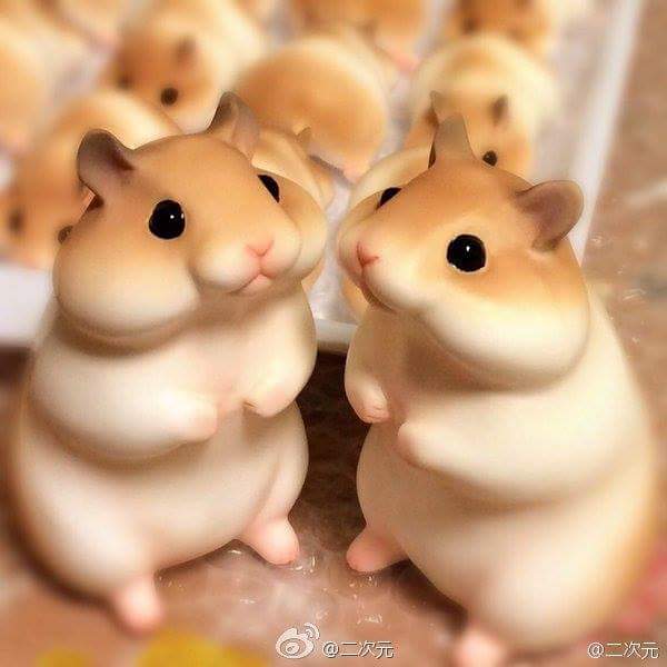 กินหนูลงหรา ?