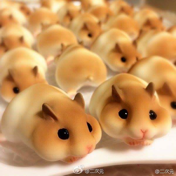 กินหนูลงหรา ?