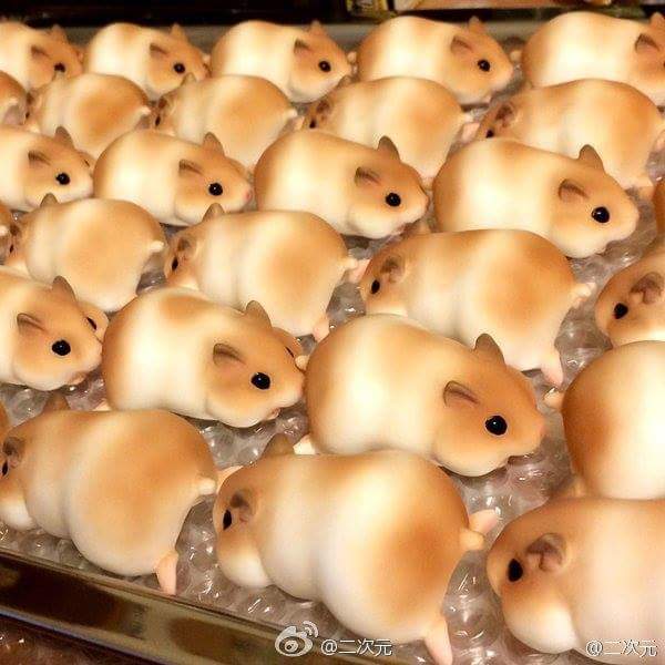 กินหนูลงหรา ?