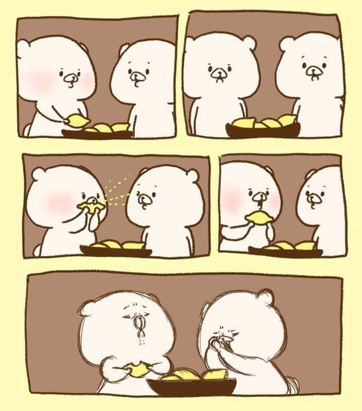 Bears gag [ อ่านจากขวาไปซ้ายนะ ]