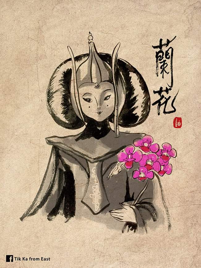 Chinese Jedi