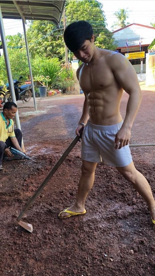 ชาวสวน