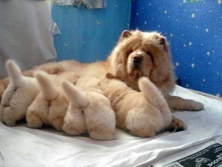 แม่-ลูก&rdquo; สุดน่ารัก