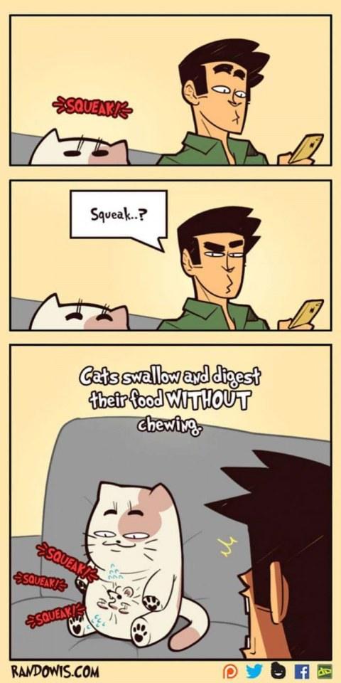 Funny gag