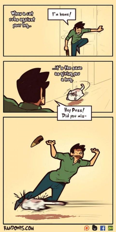 Funny gag
