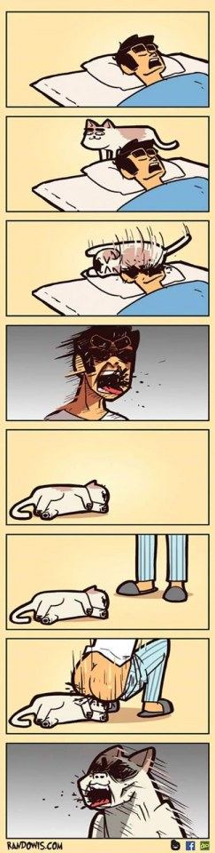Funny gag
