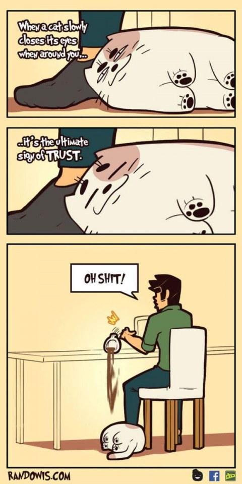 Funny gag