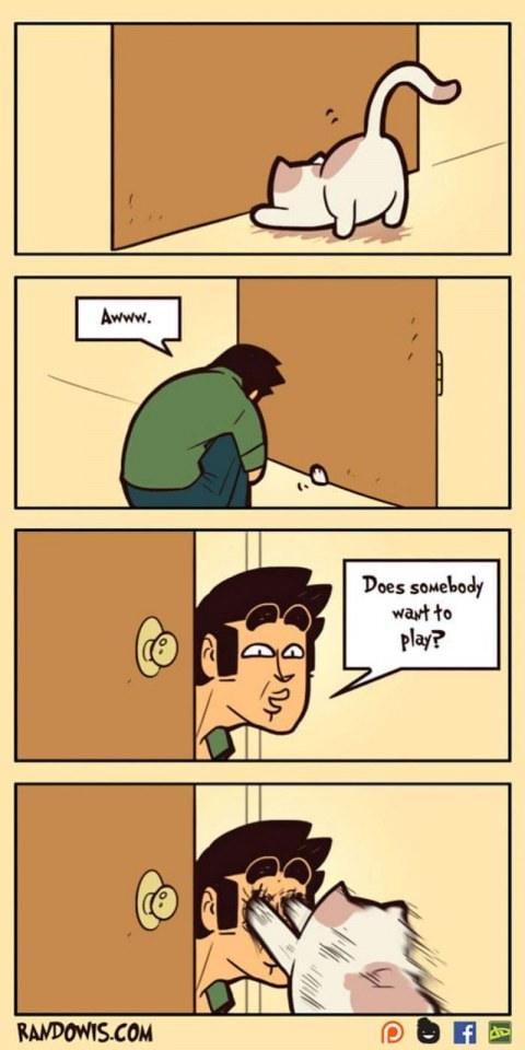Funny gag