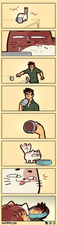 Funny gag