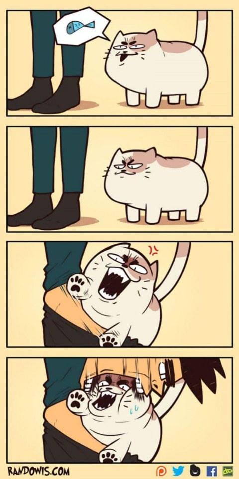 Funny gag