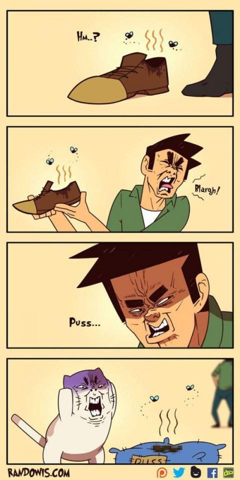 Funny gag