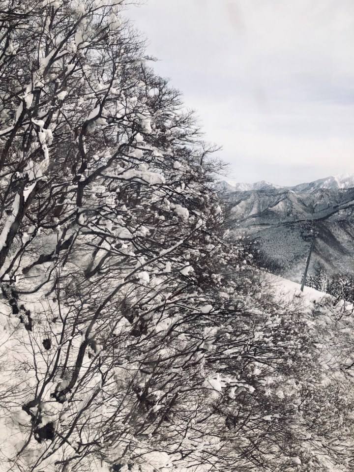 ความหนาวเย็นกับธรรมชาติ