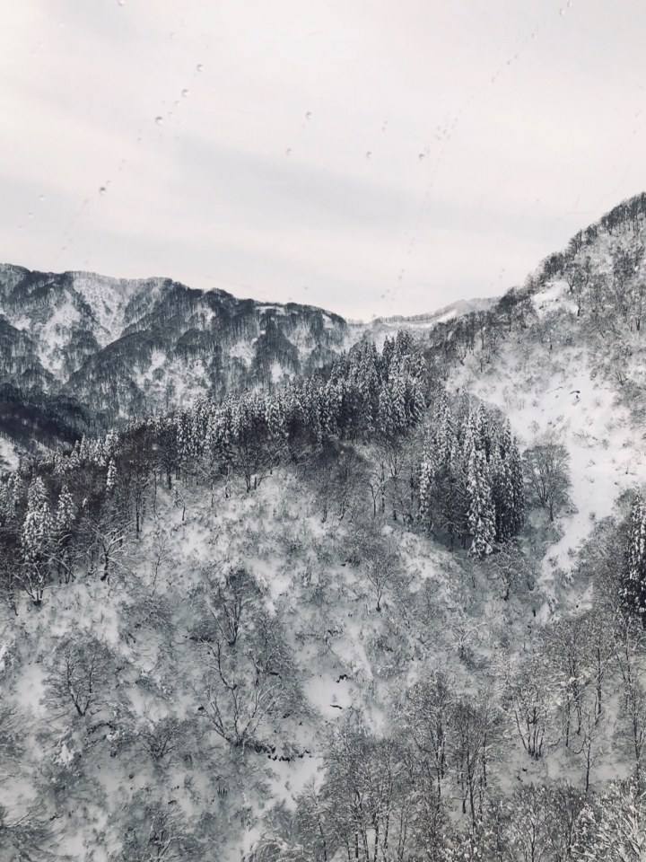 ความหนาวเย็นกับธรรมชาติ