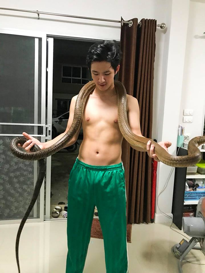 รองูเข้า.....