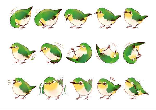 Birdy