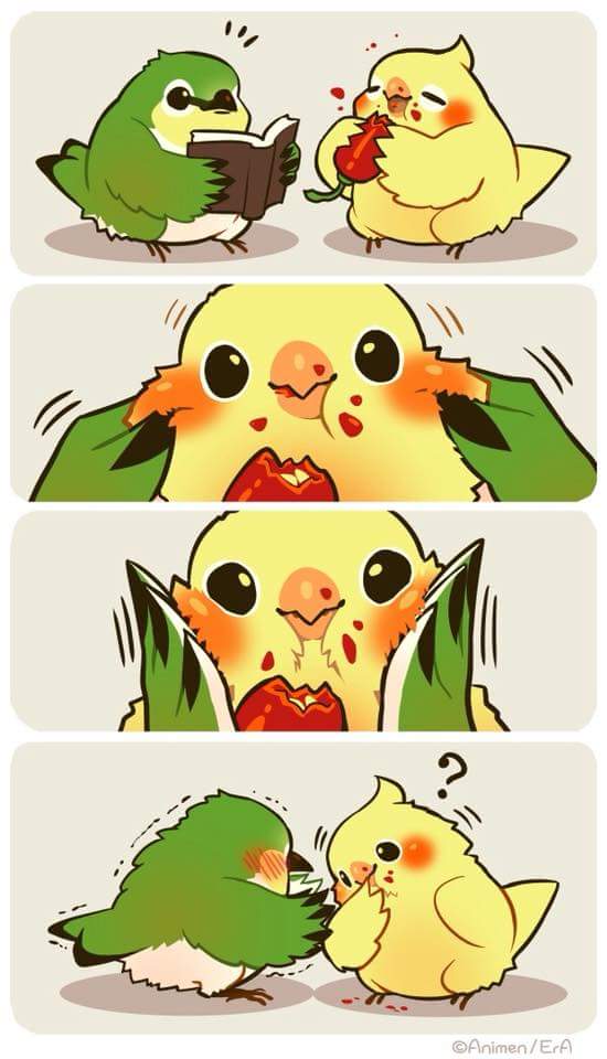 Birdy