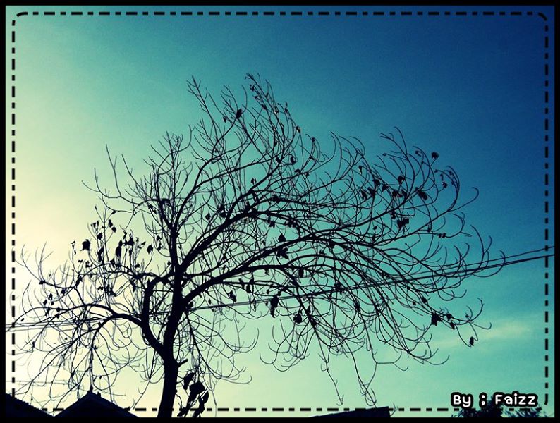 ครั้งแรกที่รู้ว่าชอบถ่ายรูป