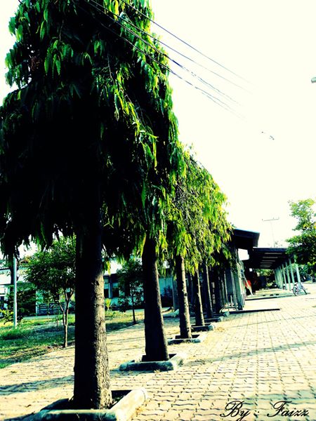 ครั้งแรกที่รู้ว่าชอบถ่ายรูป