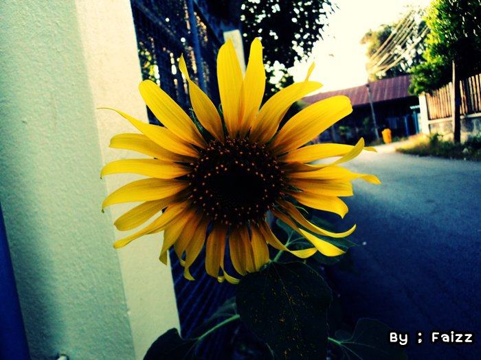 ครั้งแรกที่รู้ว่าชอบถ่ายรูป