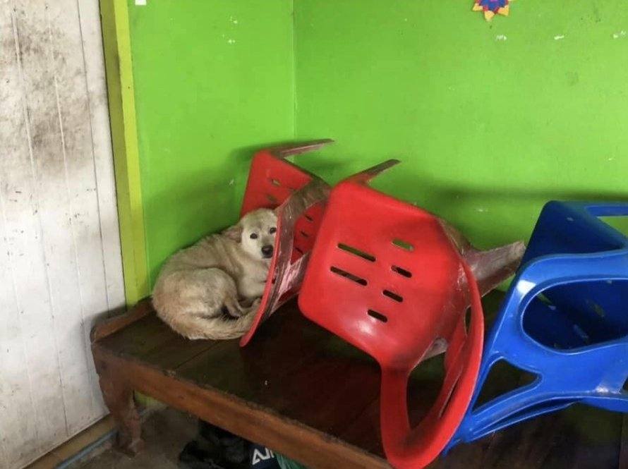 น่าสงสารน้องจัง
