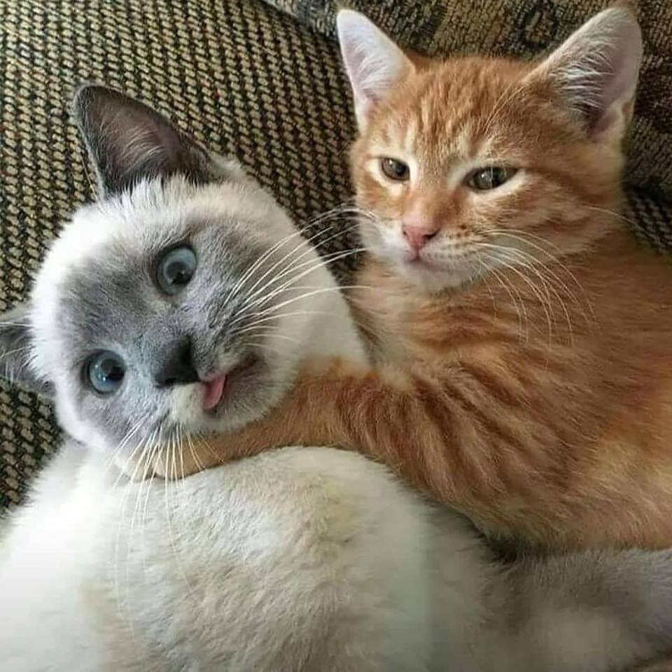 ขำขันวันละนิด