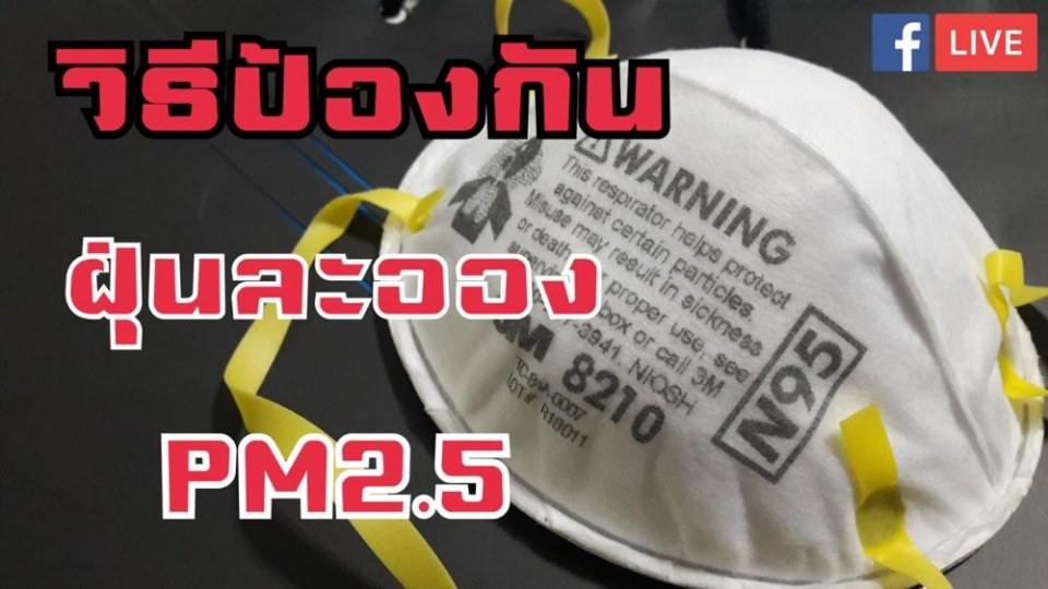 วิธีรับมือกับฝุ่นละอองเกินมาตรฐาน PM2.5  +  รีวิวหน้ากากอนามัย | Live FB | WaanSannie