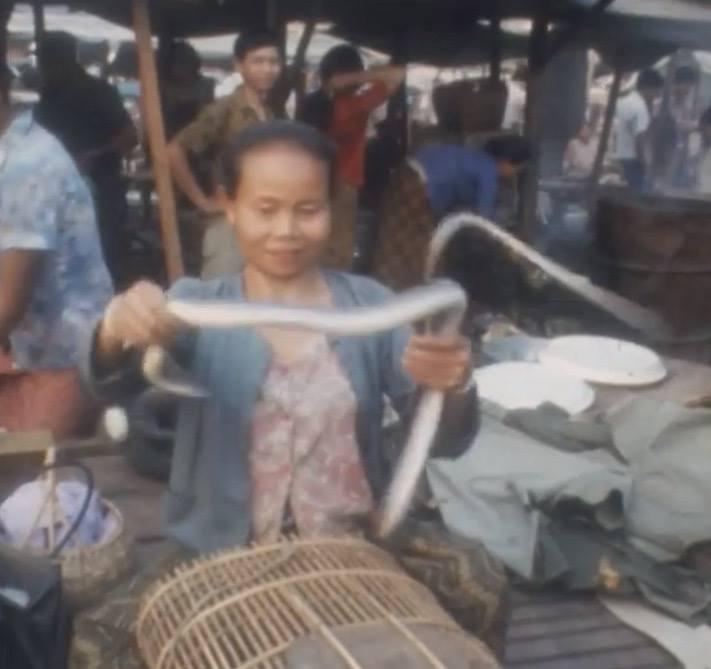 เมืองลาวก่อนปี1975