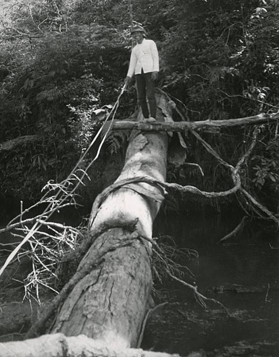 เมืองลาวก่อนปี1975