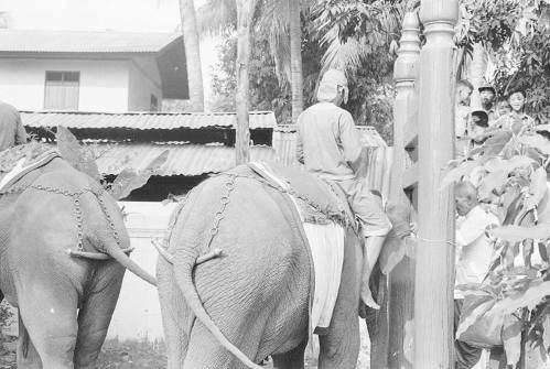 เมืองลาวก่อนปี1975