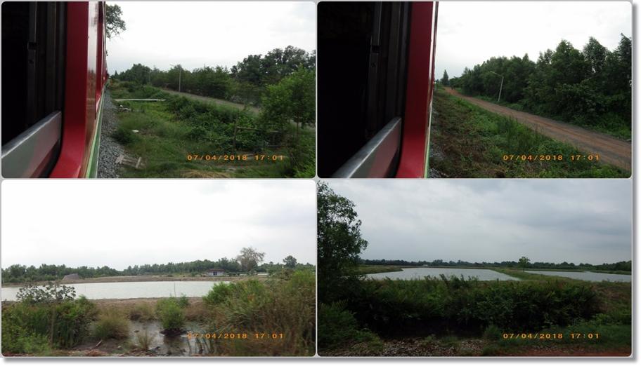 ข้างทางรถไฟสายแม่กลอง(ช่วงบ.แหลม ไป บ.กาหลง)