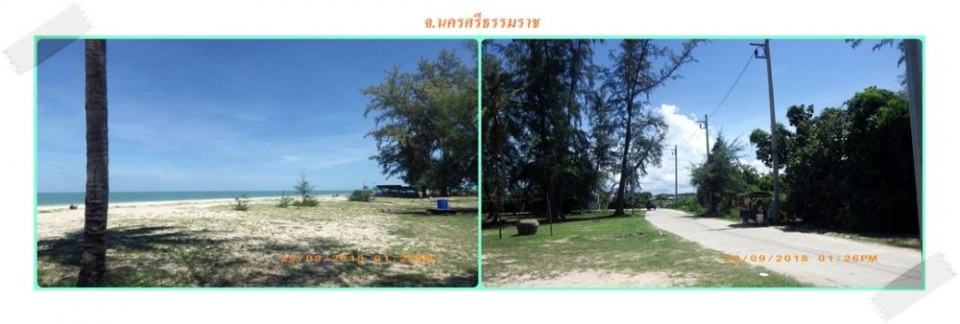 เที่ยวแหลมตะลุมพุก