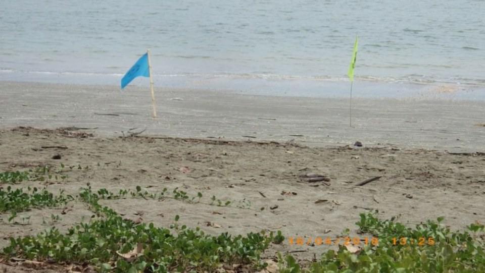 ชายหาดสำราญ จ.ตรัง