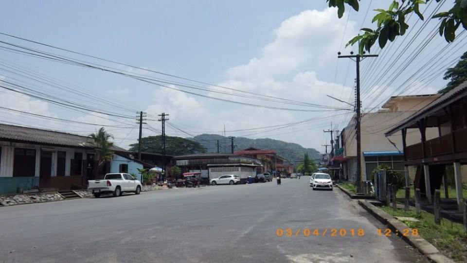 ด้านหลัง
