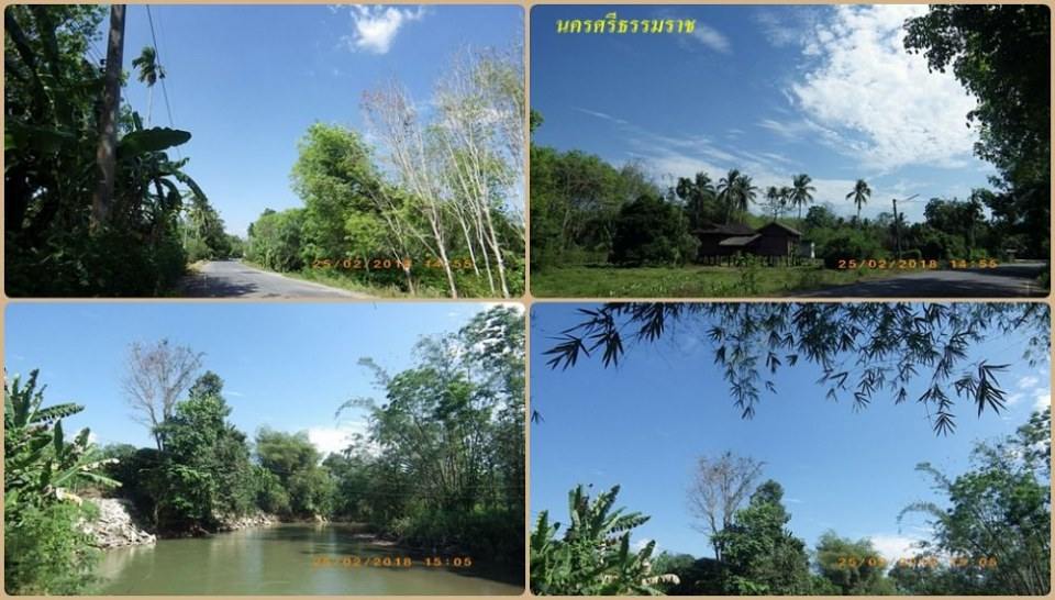 อ.ฉวาง(เลี่ยงเมือง วัดศิลา)