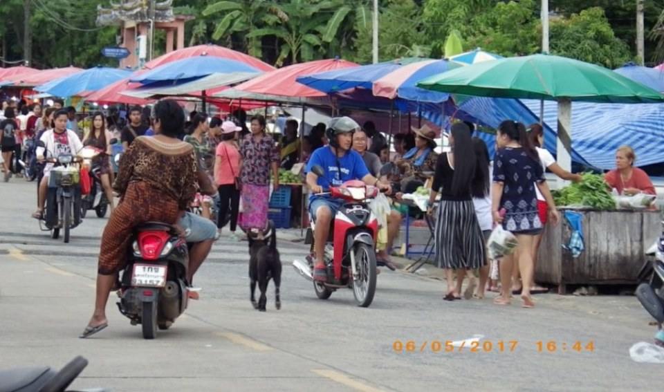 ตลาดนัดนาบอน วันเสาร์